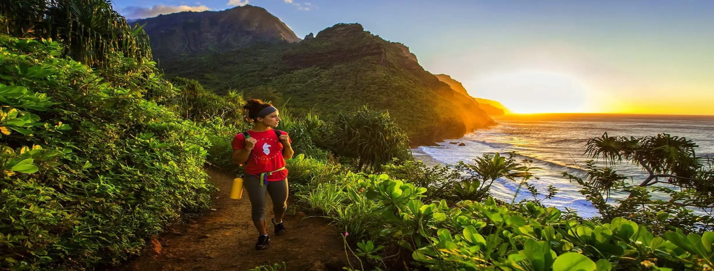 Image for Adventures in Paradise